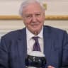 David Attenborough AI voice avatar
